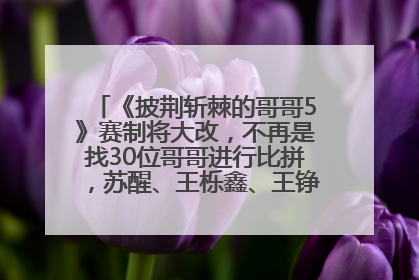 《披荆斩棘的哥哥5》赛制将大改，不再是找30位哥哥进行比拼，苏醒、王栎鑫、王铮亮、张远等多名男团选手被曝将参加
