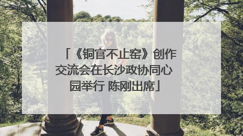 《铜官不止窑》创作交流会在长沙政协同心园举行 陈刚出席