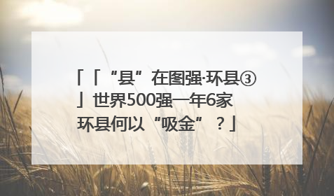 「“县”在图强·环县③」世界500强一年6家 环县何以“吸金”？
