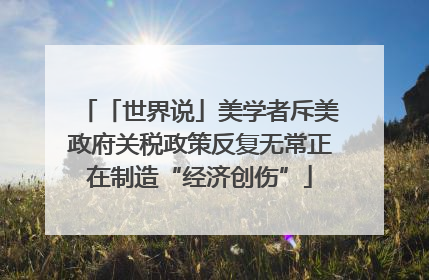 「世界说」美学者斥美政府关税政策反复无常正在制造“经济创伤”