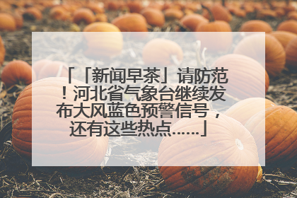 「新闻早茶」请防范！河北省气象台继续发布大风蓝色预警信号，还有这些热点……