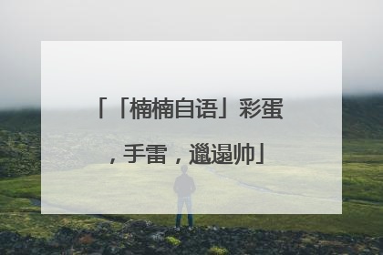 「楠楠自语」彩蛋，手雷，邋遢帅