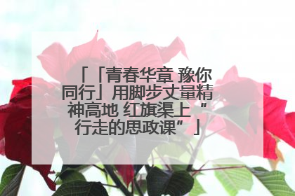 「青春华章 豫你同行」用脚步丈量精神高地 红旗渠上“行走的思政课”