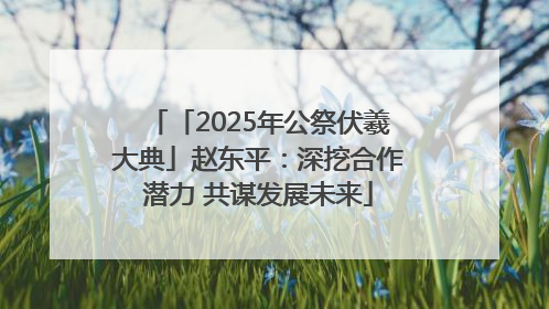 「2025年公祭伏羲大典」赵东平：深挖合作潜力 共谋发展未来