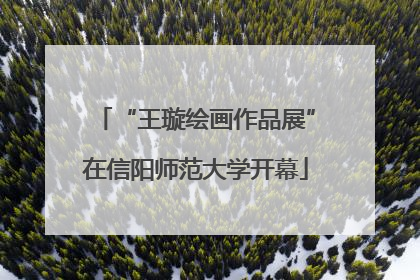 “王璇绘画作品展”在信阳师范大学开幕