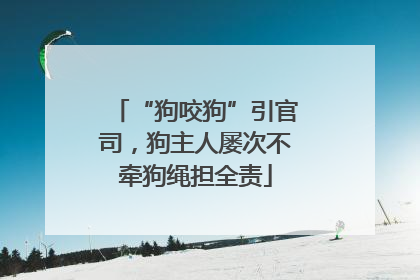 “狗咬狗”引官司，狗主人屡次不牵狗绳担全责