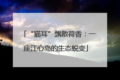 “猫耳”飘散荷香：一座江心岛的生态蜕变