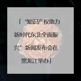 “知识产权助力新时代东北全面振兴”新闻发布会在黑龙江举办