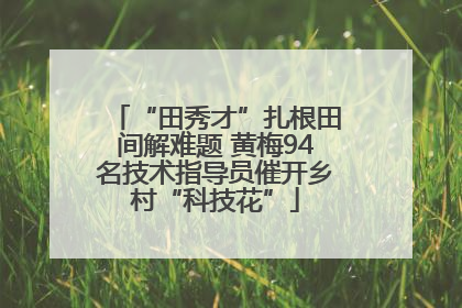 “田秀才”扎根田间解难题 黄梅94名技术指导员催开乡村“科技花”