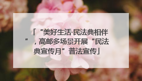 “美好生活·民法典相伴”，高邮多场景开展“民法典宣传月”普法宣传