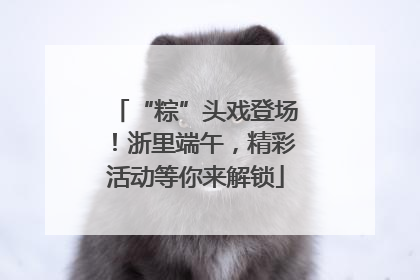 “粽”头戏登场！浙里端午，精彩活动等你来解锁