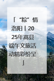 “粽”情洛阳丨2025年嵩县端午文旅活动精彩纷呈