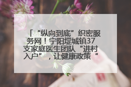 “纵向到底”织密服务网！宁阳堽城镇37支家庭医生团队“进村入户”，让健康政策“落地生根”