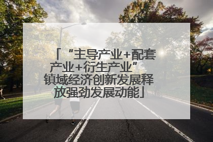 “主导产业+配套产业+衍生产业” 镇域经济创新发展释放强劲发展动能