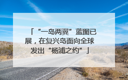“一岛两翼”蓝图已展，在复兴岛面向全球发出“杨浦之约”