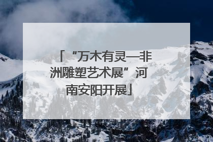 “万木有灵—非洲雕塑艺术展”河南安阳开展
