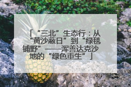 “三北”生态行：从“黄沙蔽日”到“绿毯铺野”——浑善达克沙地的“绿色重生”