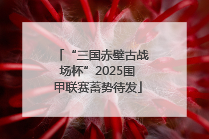 “三国赤壁古战场杯”2025围甲联赛蓄势待发