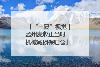 “三夏”视觉｜孟州麦收正当时 机械减损保归仓