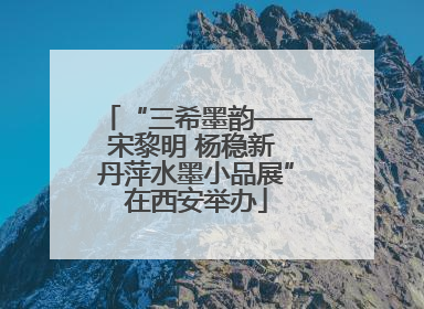 “三希墨韵——宋黎明 杨稳新 丹萍水墨小品展”在西安举办