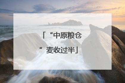 “中原粮仓”麦收过半