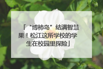 “博柿岛”结满智慧果！松江这所学校的学生在校园里探险