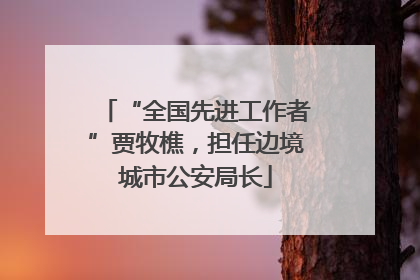 “全国先进工作者”贾牧樵，担任边境城市公安局长