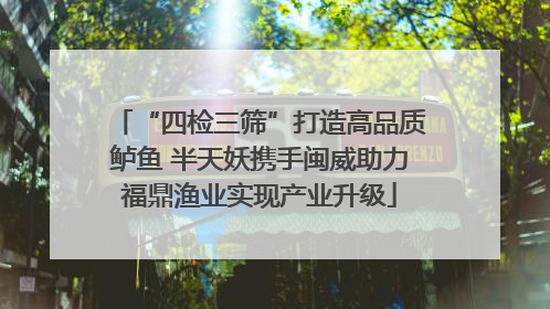 “四检三筛”打造高品质鲈鱼 半天妖携手闽威助力福鼎渔业实现产业升级