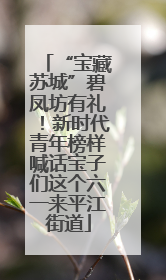 “宝藏苏城”碧凤坊有礼！新时代青年榜样喊话宝子们这个六一来平江街道