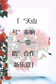 “天山号”奏响“一带一路”合作新乐章