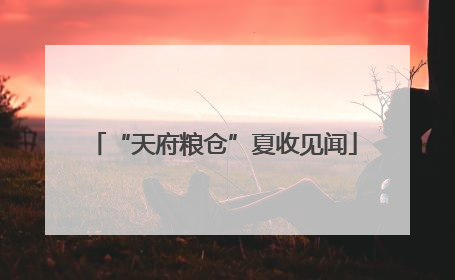 “天府粮仓”夏收见闻
