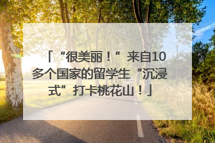 “很美丽！”来自10多个国家的留学生“沉浸式”打卡桃花山！