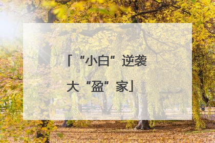 “小白”逆袭大“盈”家