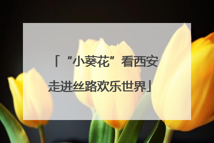 “小葵花”看西安走进丝路欢乐世界