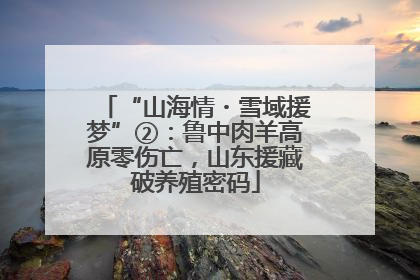 “山海情・雪域援梦”②：鲁中肉羊高原零伤亡，山东援藏破养殖密码