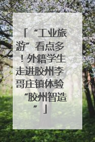 “工业旅游”看点多！外籍学生走进胶州李哥庄镇体验“胶州智造”
