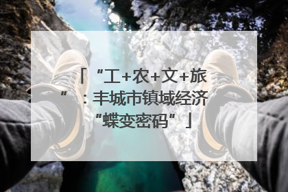 “工+农+文+旅”：丰城市镇域经济“蝶变密码”