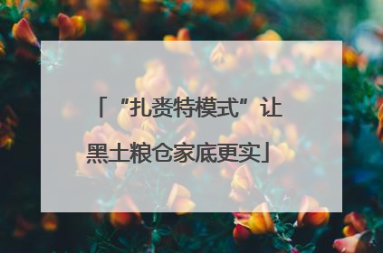 “扎赉特模式”让黑土粮仓家底更实