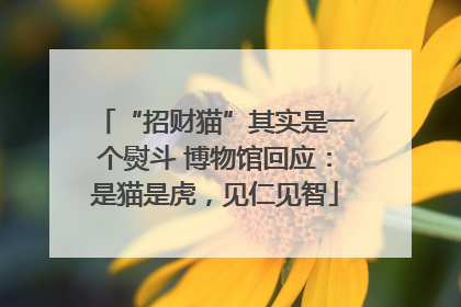 “招财猫”其实是一个熨斗 博物馆回应：是猫是虎，见仁见智
