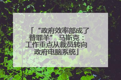 “政府效率部成了替罪羊” 马斯克：工作重点从裁员转向政府电脑系统