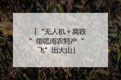 “无人机＋高铁”带赣南农特产“飞”出大山