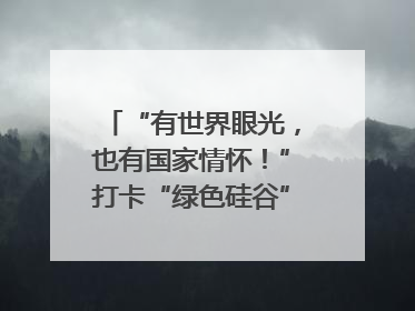 “有世界眼光，也有国家情怀！”打卡“绿色硅谷”，博主新解乐山｜网络名人四川行