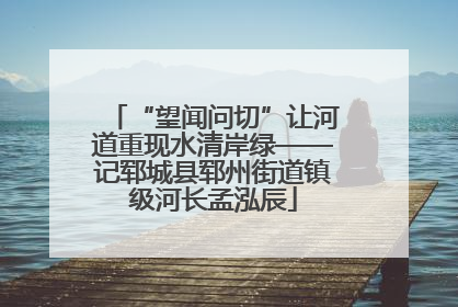 “望闻问切”让河道重现水清岸绿——记郓城县郓州街道镇级河长孟泓辰