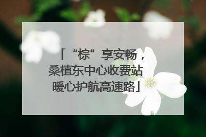 “棕”享安畅，桑植东中心收费站暖心护航高速路