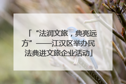 “法润文旅，典亮远方”——江汉区举办民法典进文旅企业活动