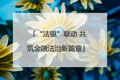 “法银”联动 共筑金融法治新篇章