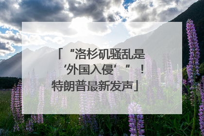“洛杉矶骚乱是‘外国入侵’”！特朗普最新发声