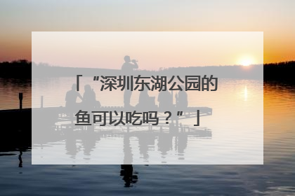 “深圳东湖公园的鱼可以吃吗？”