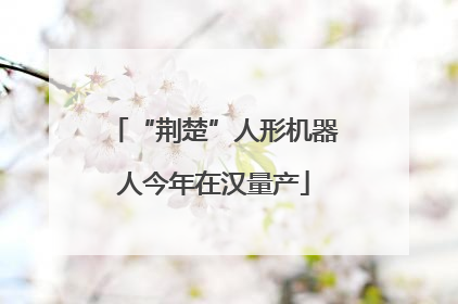 “荆楚”人形机器人今年在汉量产