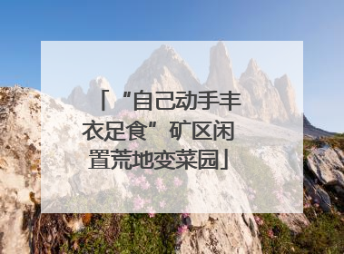 “自己动手丰衣足食”矿区闲置荒地变菜园